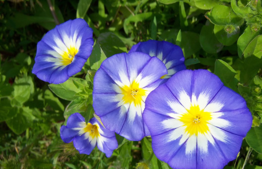 1404415 (a): :1920x1240